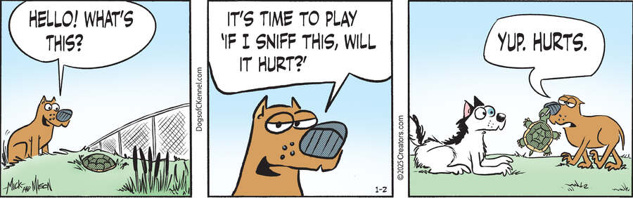 Dogs of C-Kennel for Jan 02, 2025