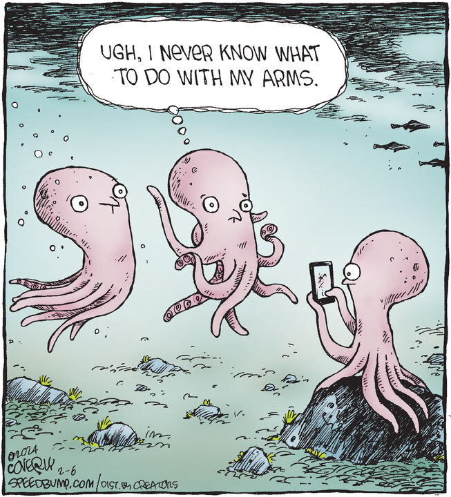 Speed Bump for Feb 06, 2024