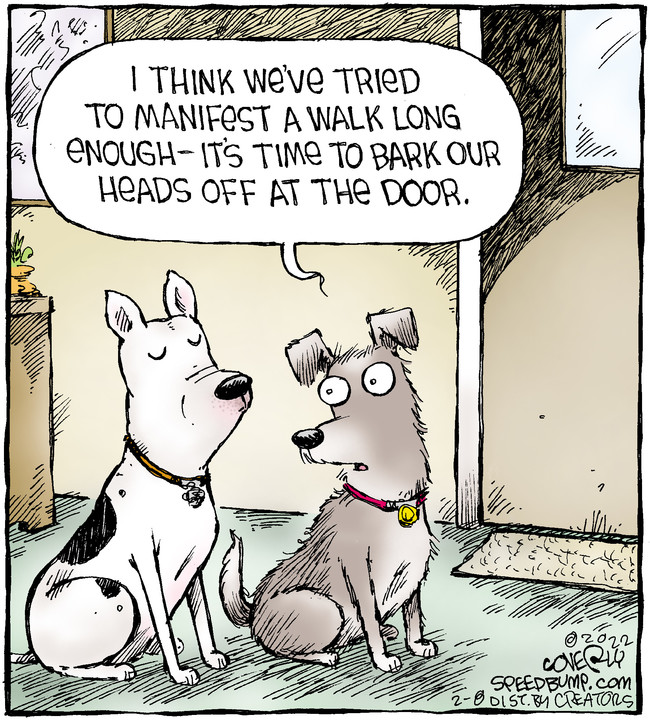 Speed Bump for Feb 08, 2022