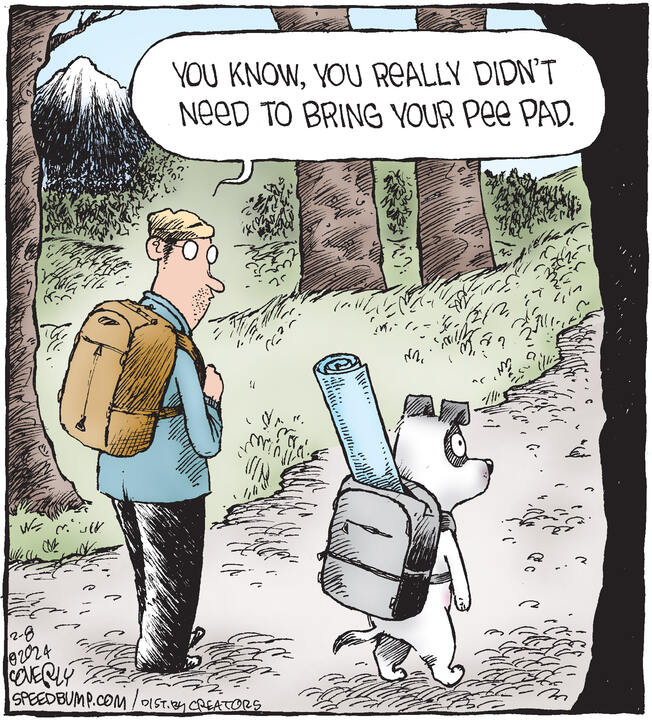 Speed Bump for Feb 08, 2024