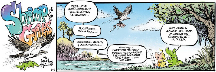 Shrimp and Grits for Feb 09, 2025