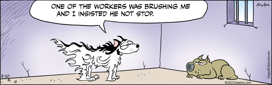 Dogs of C-Kennel for Feb 10, 2022