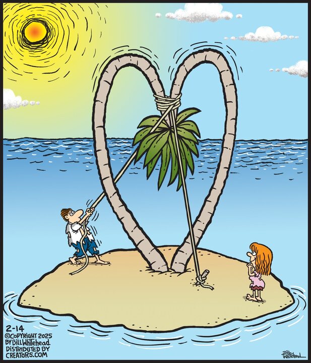 Free Range for Feb 14, 2025