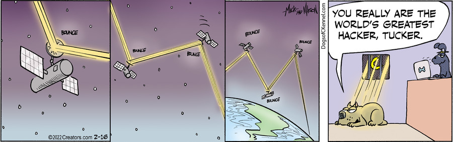 Dogs of C-Kennel for Feb 16, 2022