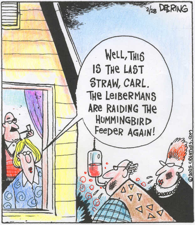 Strange Brew for Feb 28, 2025