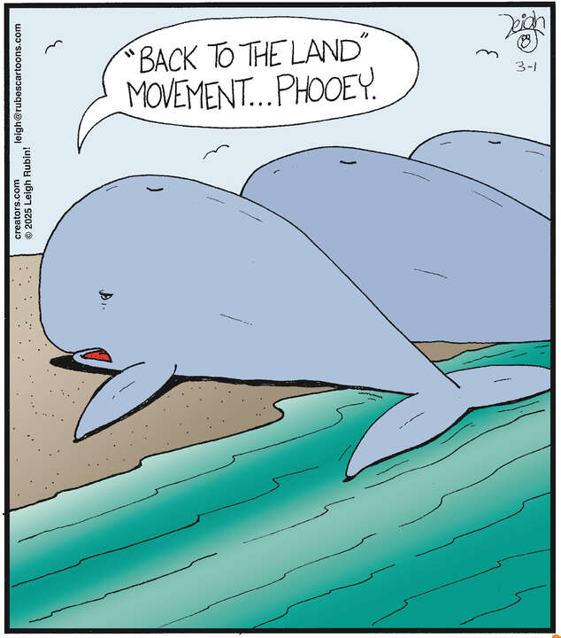 Rubes® for Mar 01, 2025