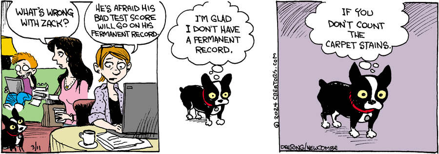 Zack Hill for Mar 11, 2024