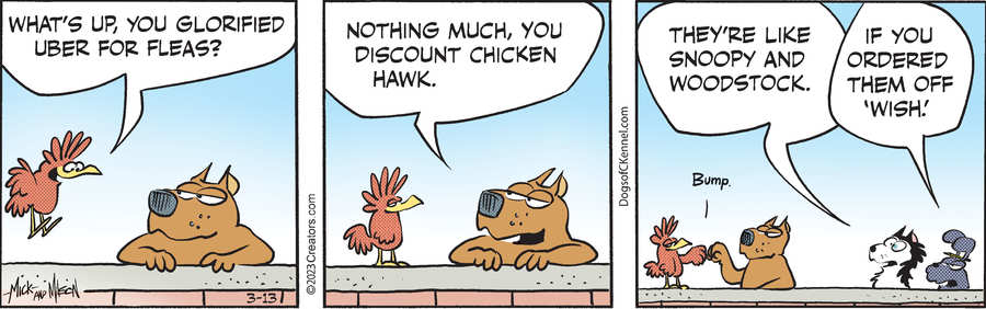 Dogs of C-Kennel for Mar 13, 2023