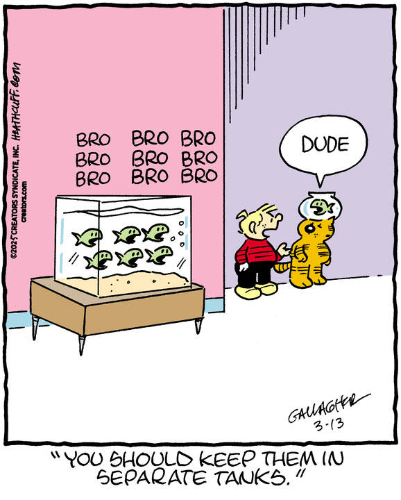 Heathcliff for Mar 13, 2025