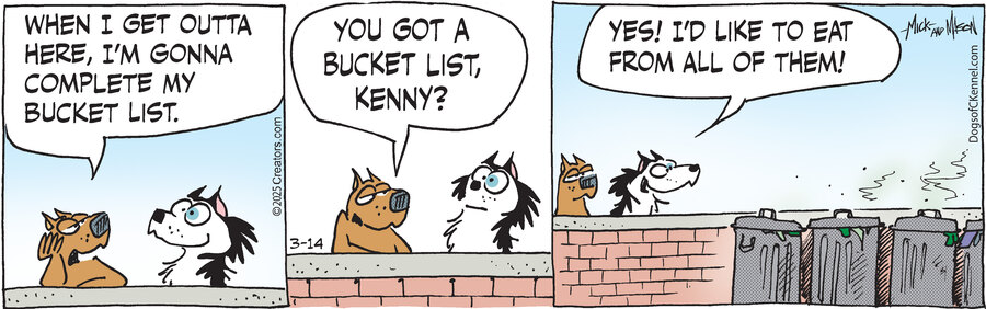 Dogs of C-Kennel for Mar 14, 2025