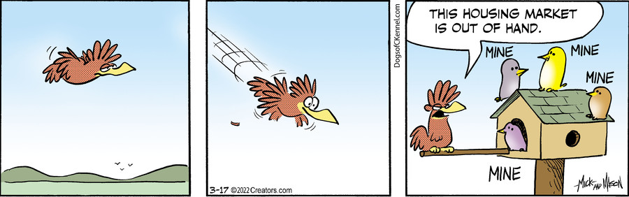 Dogs of C-Kennel for Mar 17, 2022