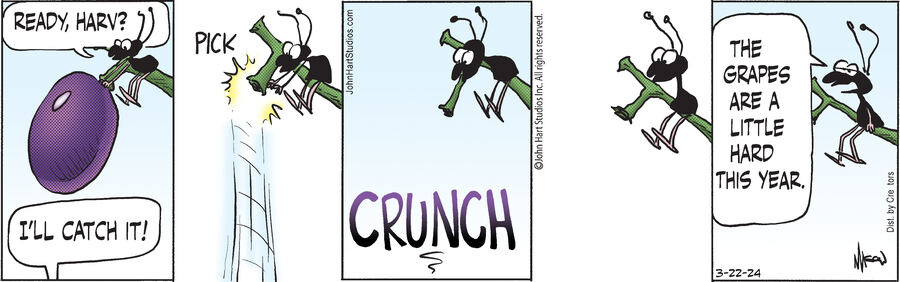 B.C. for Mar 22, 2024