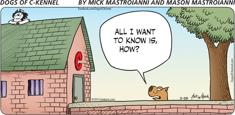 Dogs of C-Kennel for Mar 28, 2021