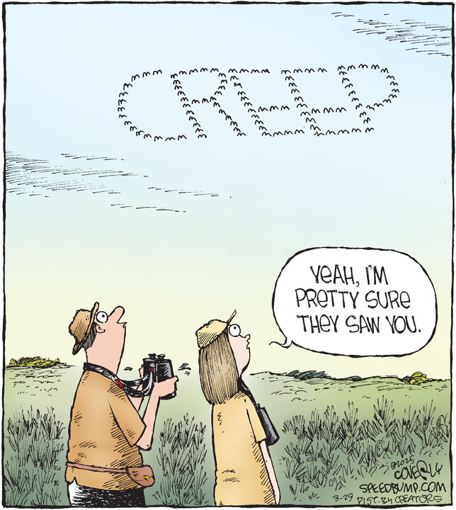 Speed Bump for Mar 29, 2025