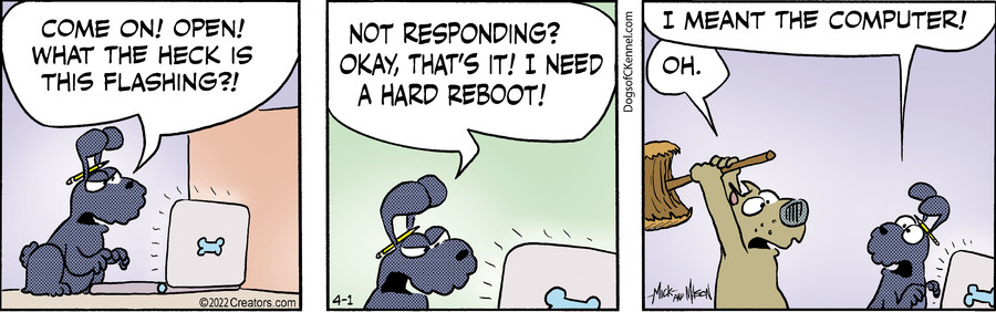 Dogs of C-Kennel for Apr 01, 2022
