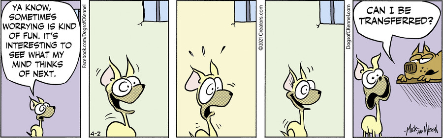 Dogs of C-Kennel for Apr 02, 2021