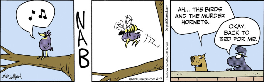 Dogs of C-Kennel for Apr 03, 2021
