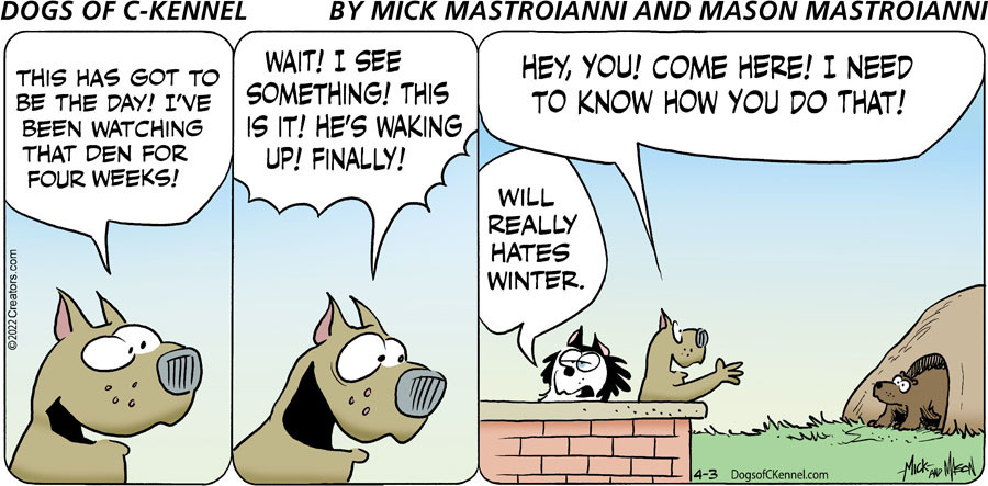 Dogs of C-Kennel for Apr 03, 2022