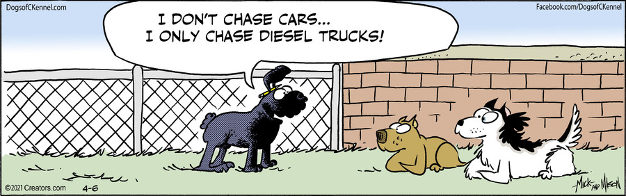 Dogs of C-Kennel for Apr 06, 2021