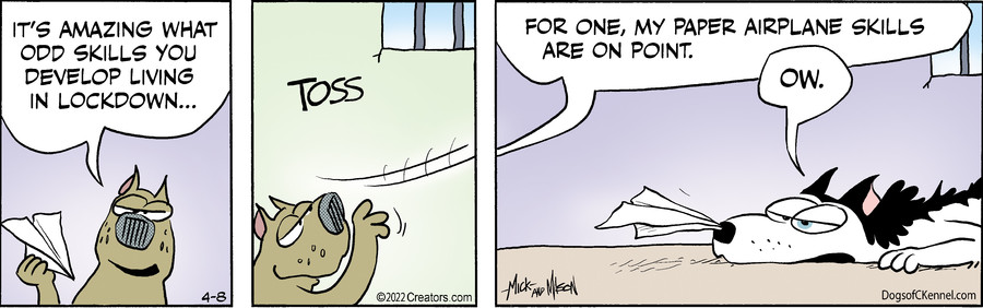 Dogs of C-Kennel for Apr 08, 2022