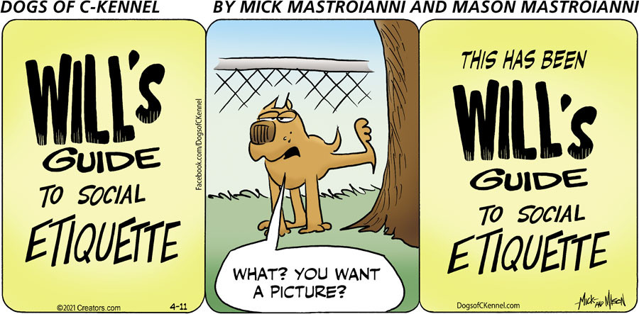 Dogs of C-Kennel for Apr 11, 2021