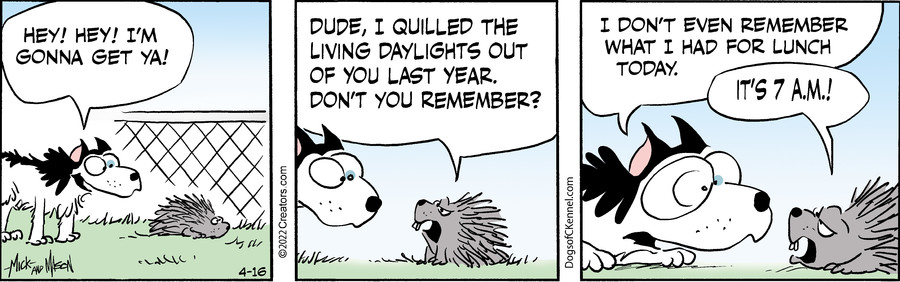 Dogs of C-Kennel for Apr 16, 2022