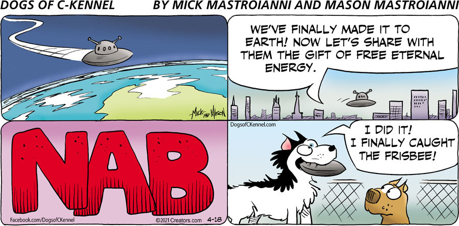 Dogs of C-Kennel for Apr 18, 2021
