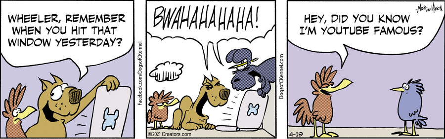 Dogs of C-Kennel for Apr 19, 2021