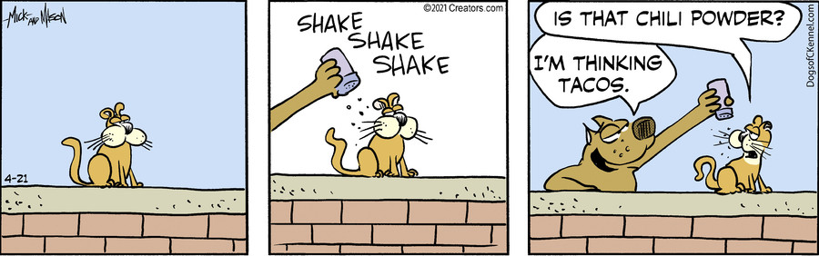 Dogs of C-Kennel for Apr 21, 2021