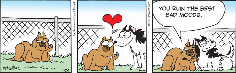 Dogs of C-Kennel for Apr 26, 2021