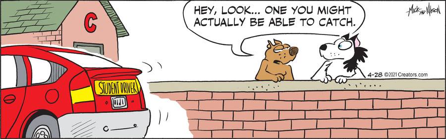 Dogs of C-Kennel for Apr 28, 2021