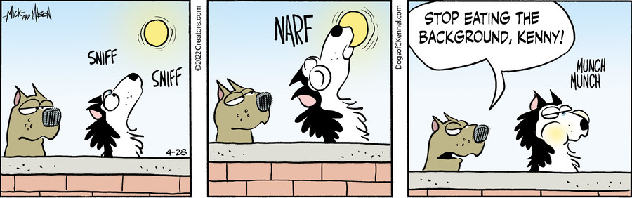Dogs of C-Kennel for Apr 28, 2022