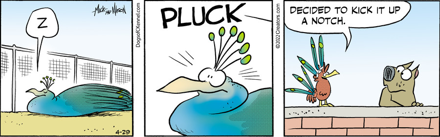 Dogs of C-Kennel for Apr 29, 2022