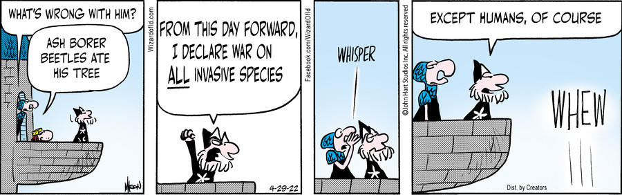 Wizard of Id for Apr 29, 2022