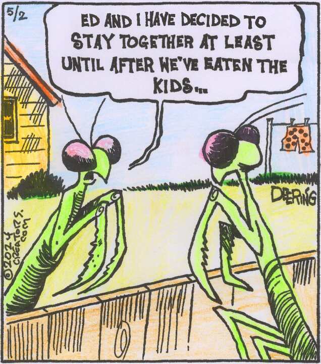 Strange Brew for May 02, 2024