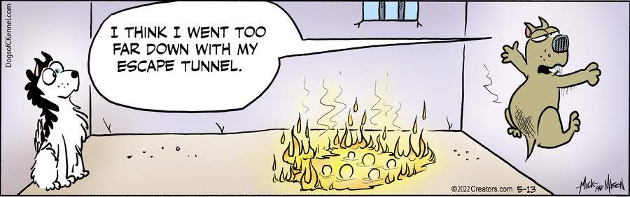 Dogs of C-Kennel for May 13, 2022