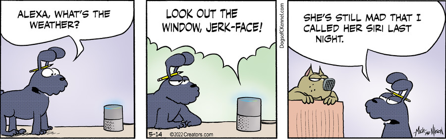 Dogs of C-Kennel for May 14, 2022