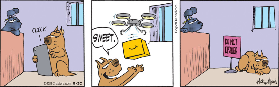 Dogs of C-Kennel for May 20, 2021