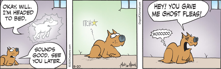 Dogs of C-Kennel for May 20, 2023