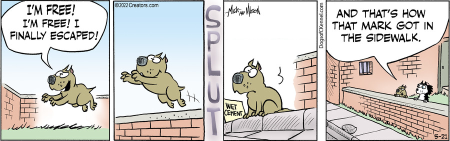 Dogs of C-Kennel for May 21, 2022