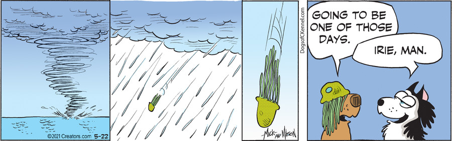 Dogs of C-Kennel for May 22, 2021