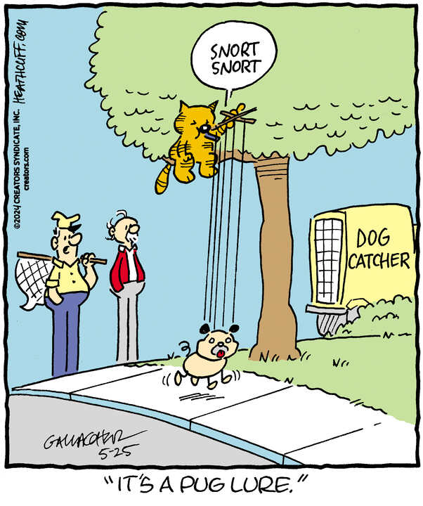 Heathcliff for May 25, 2024