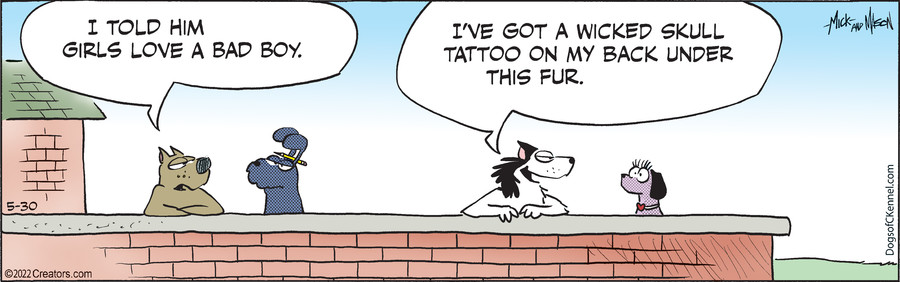 Dogs of C-Kennel for May 30, 2022