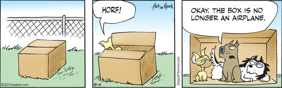 Dogs of C-Kennel for Jun 04, 2022