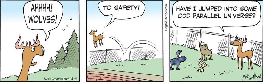 Dogs of C-Kennel for Jun 05, 2021