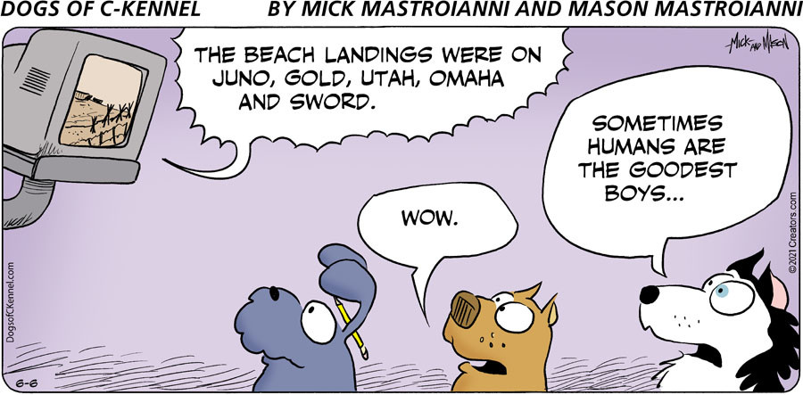 Dogs of C-Kennel for Jun 06, 2021