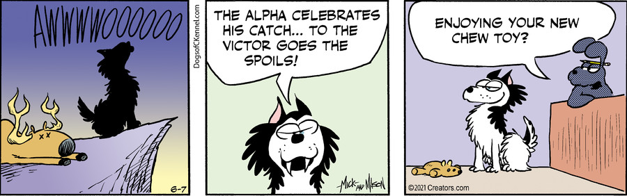 Dogs of C-Kennel for Jun 07, 2021