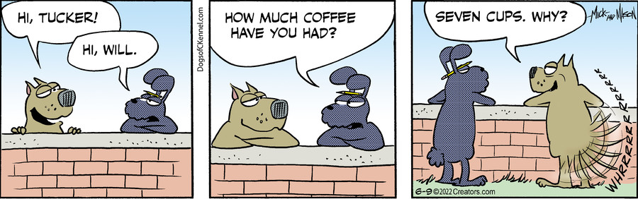 Dogs of C-Kennel for Jun 09, 2022