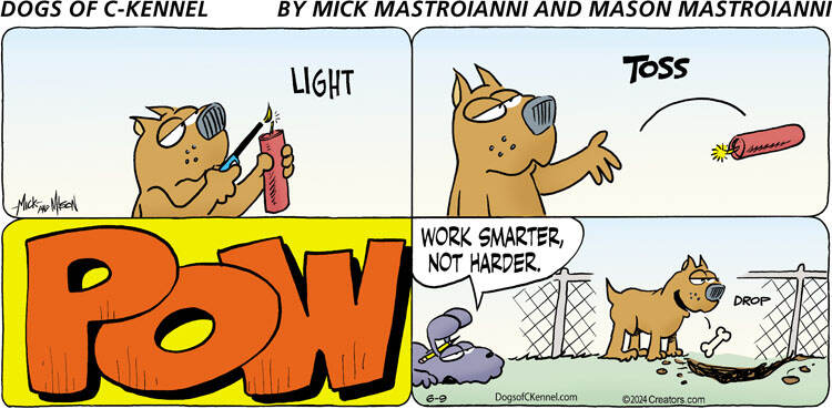 Dogs of C-Kennel for Jun 09, 2024