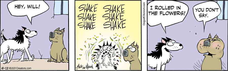 Dogs of C-Kennel for Jun 12, 2021